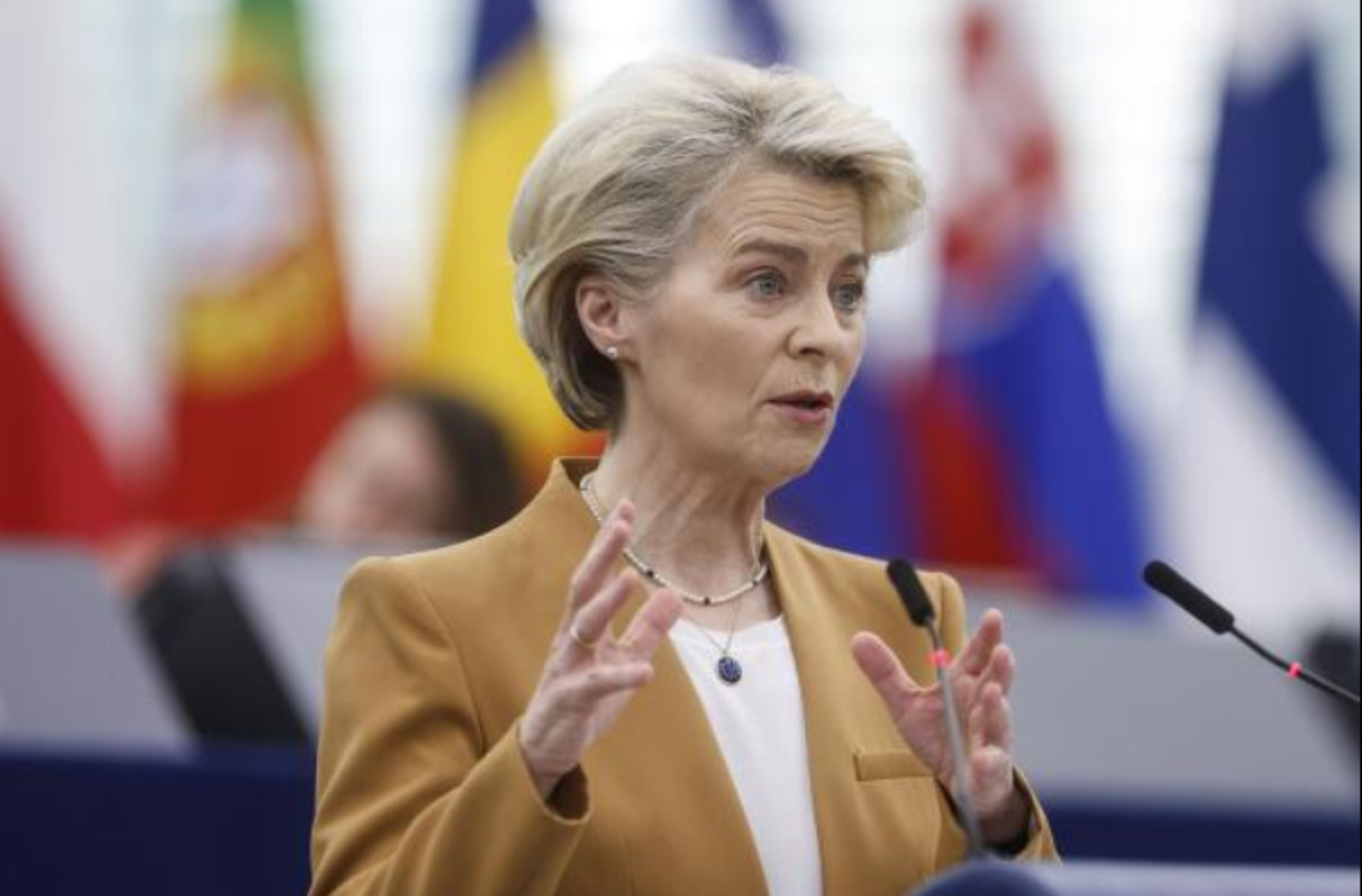 Von der Leyen: 2024. je ključna godina za demokratiju - slika 1